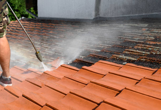 Best Local Pressure Washing Services  in Lake Mawk, OH