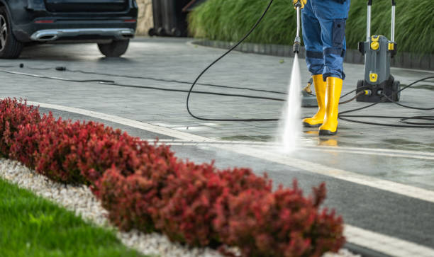 Best Deck Cleaning Services  in Lake Mawk, OH
